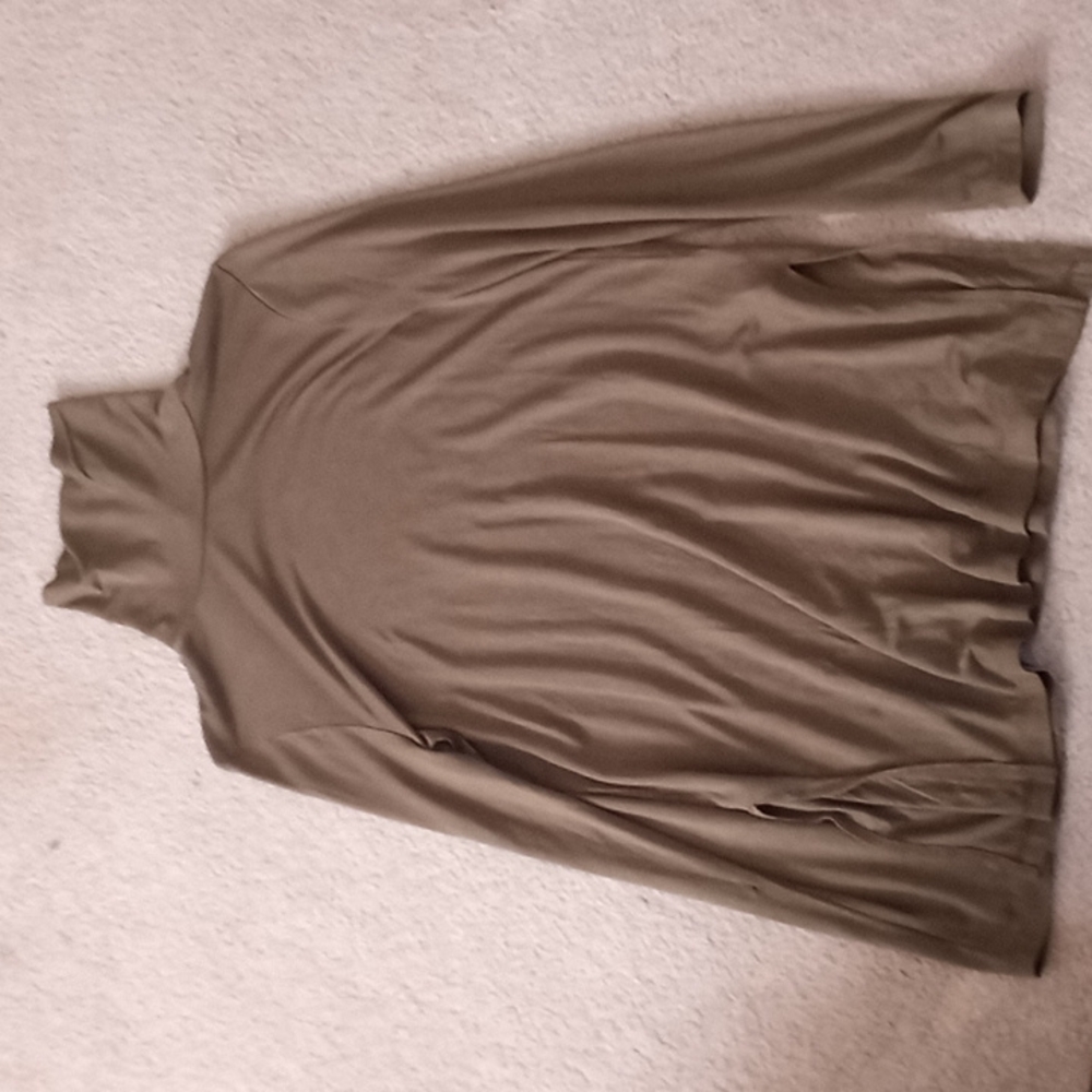 J.Crew long sleeved turtle neck